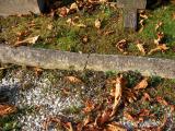 image of grave number 171858